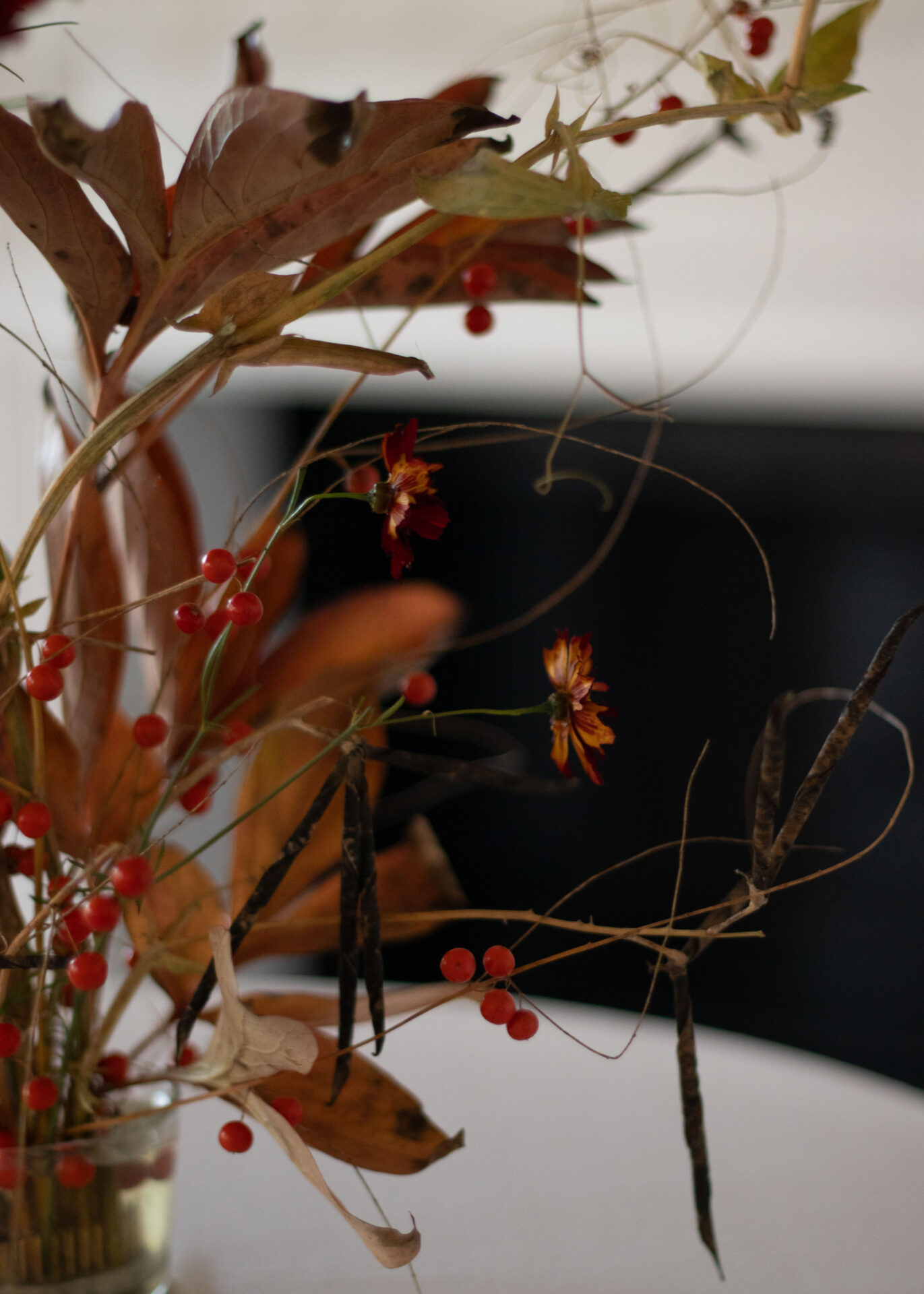 261010_MoraFloralStudio_ICA_49