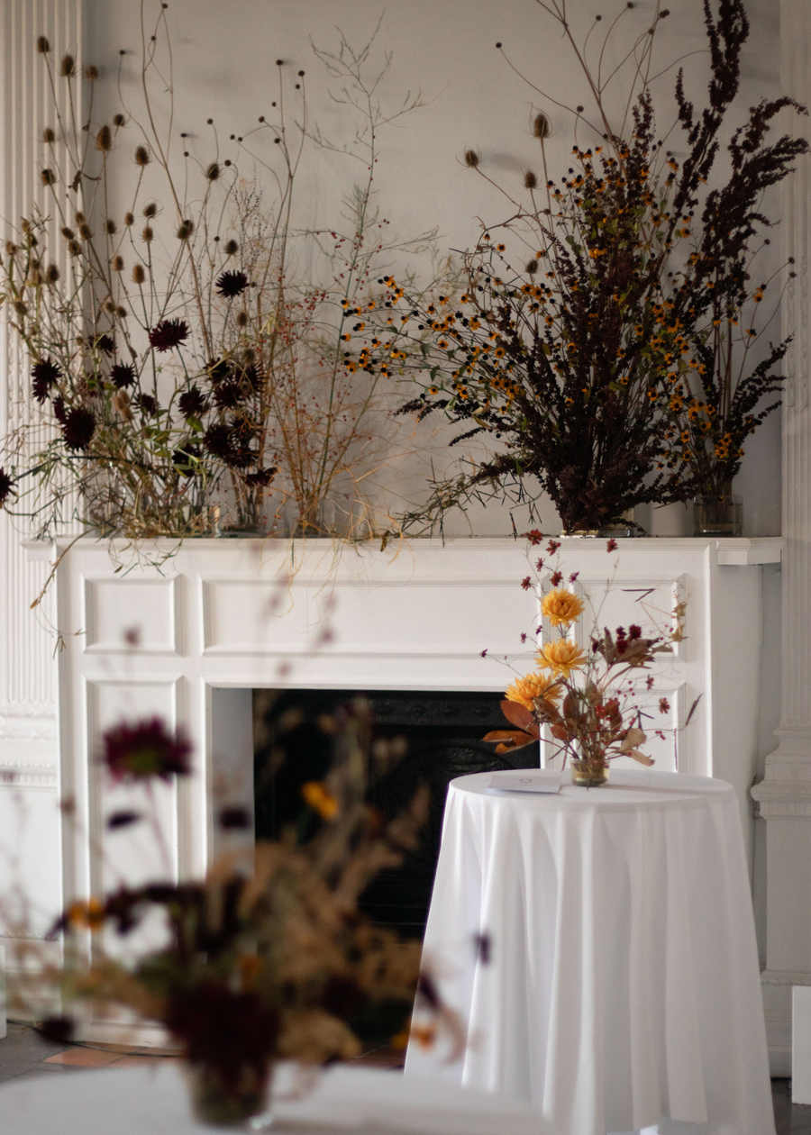 Autumn Silhouettes and Shadows